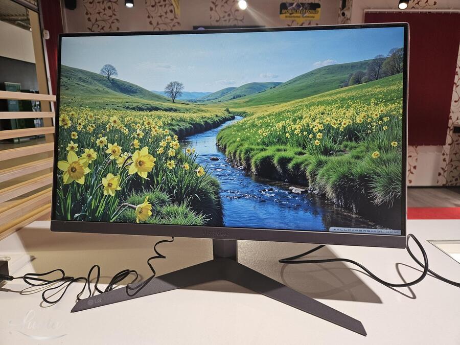 Monitor LG 24GS50F